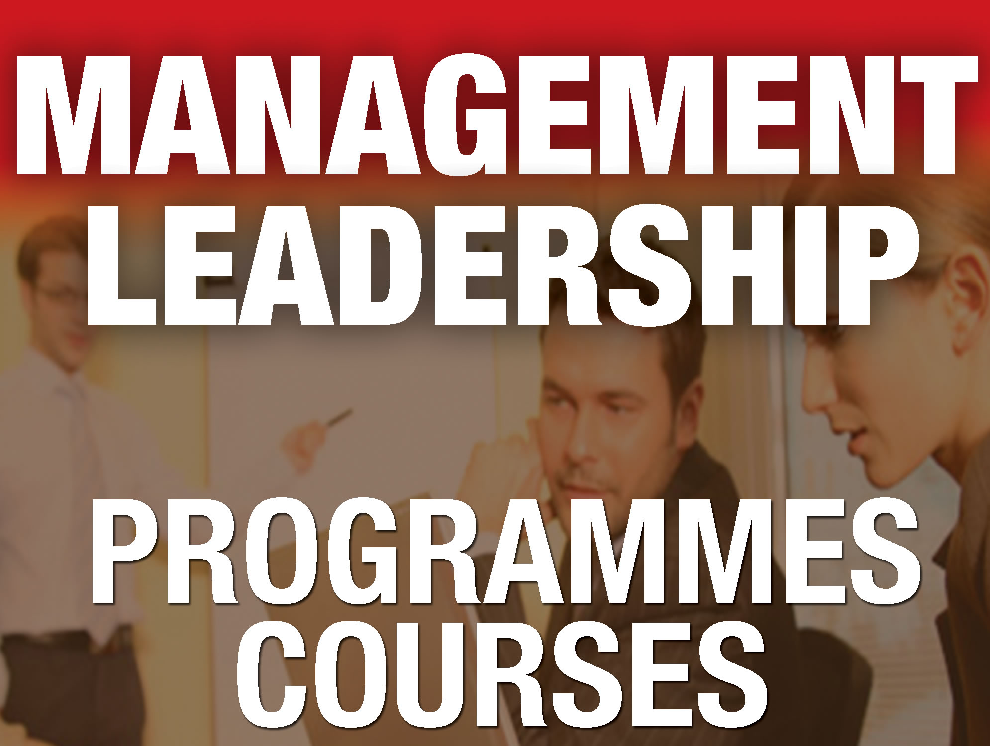 B-Management2